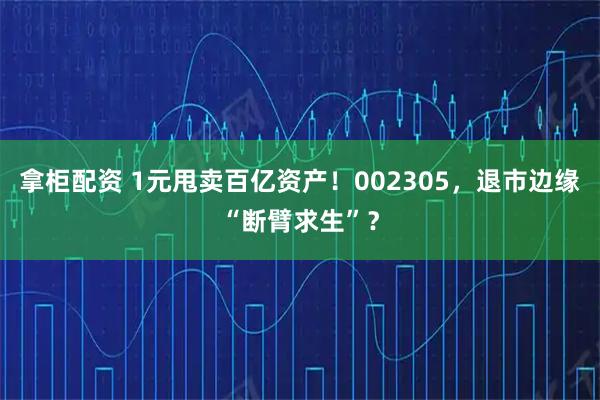 拿柜配资 1元甩卖百亿资产！002305，退市边缘“断臂求生”？
