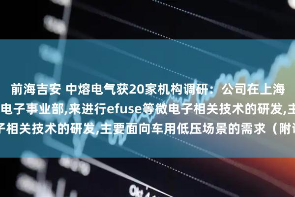 前海吉安 中熔电气获20家机构调研：公司在上海设立研发中心,创设微电子事业部,来进行efuse等微电子相关技术的研发,主要面向车用低压场景的需求（附调研问答）