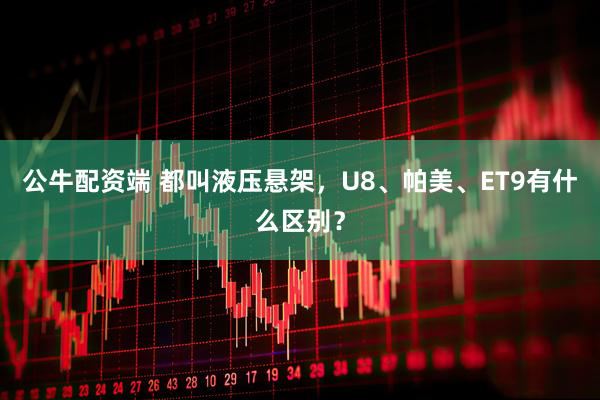 公牛配资端 都叫液压悬架，U8、帕美、ET9有什么区别？